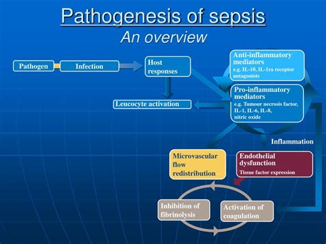 Pathogenesis Of Sepsis