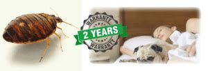 See reviews, rating, and prices. Bed Bugs Exterminators Rochester NY - EnviroPest Solutions