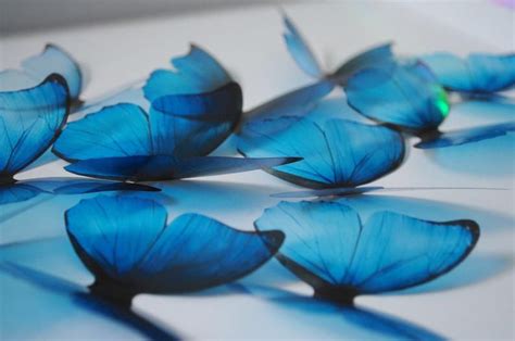 Blue Rainbow Butterflies 3d Acetate Butterflies Ombre Blue