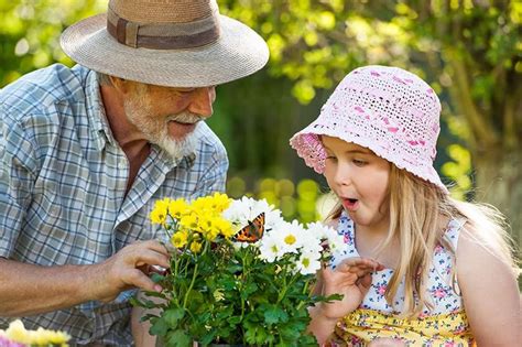 5 Benefits Of Gardening For Seniors Conservatory Senior Living
