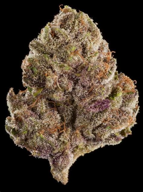 Maybe you would like to learn more about one of these? Winners of the 2017 World Cannabis Cup - Cannabis Cup