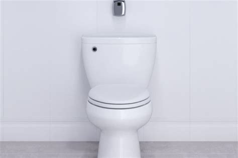 16 Types Of Toilets Styles And Toilet Mechanisms Explained George