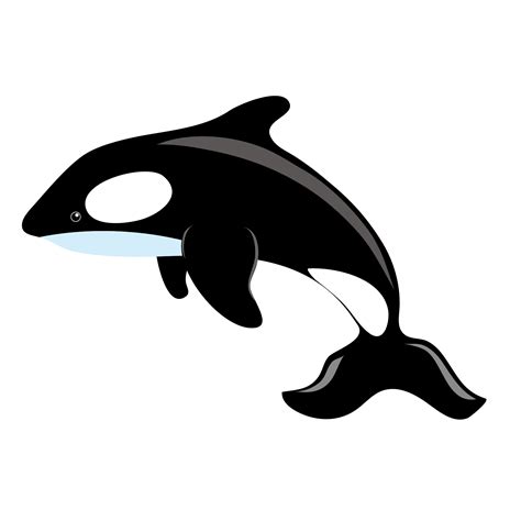 Killer Whale Blue Whale Clip Art Whale Jumping Vector Material Png