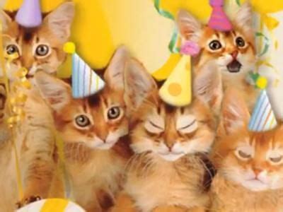 I had t look at more than 10 dog ecards before finding this card in you offering. Cute Cats Sing 'Happy Birthday': Clip - 0:34 min - Listen ...