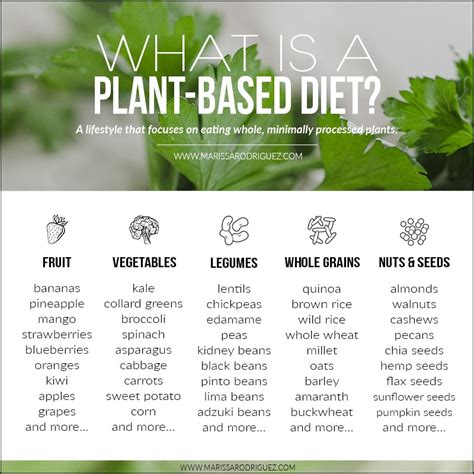 What Is A Plant Based Diet Chart1