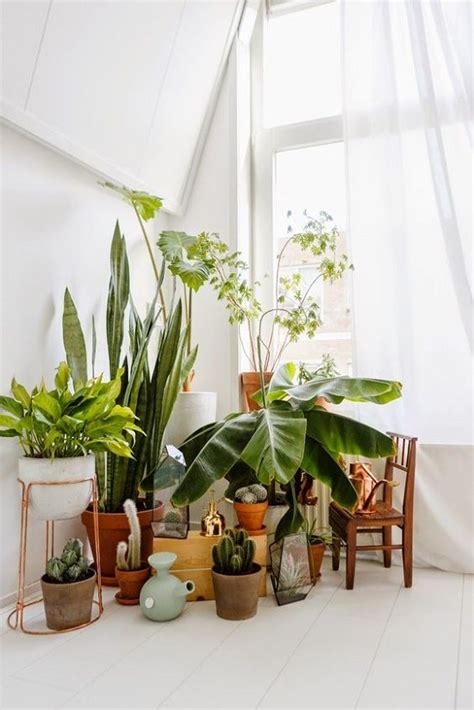 7 Different Way To Indoor Plants Decoration Ideas In
