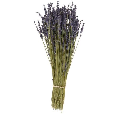 uk dried lavender bunch dried flower lavender blue 38 40cm 90g