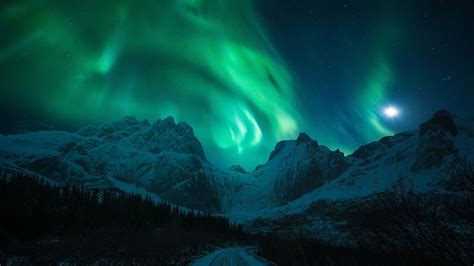 An Image Of The Aurora Bore In The Night Sky Over Snow Covered Mountains And Trees