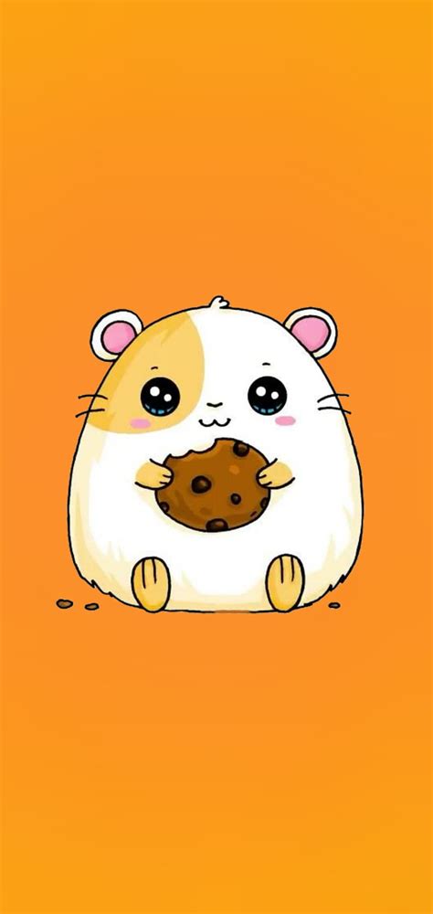 Funny Hamster Wallpapers