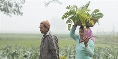 Sustainable organic farming in Kailali | World Vision International