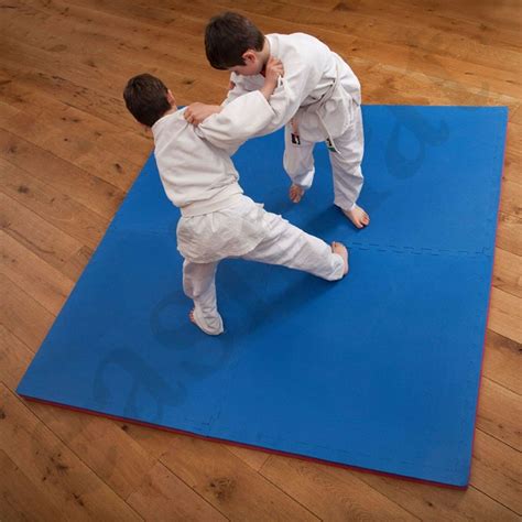 Martial Arts Floor Mats For The Gym In Bluered 20mm Thick Fed 21077