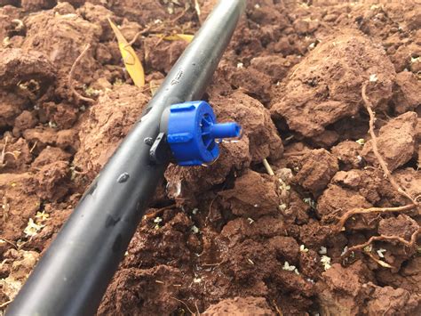 Ultra Low Energy Drip Irrigation Helps Small Farmers Save Water Energy