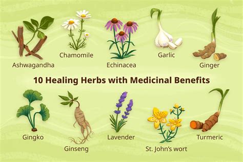 Healing Herbs With Medicinal Benefits