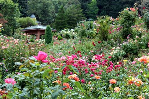 Masks and hand sanitizer are provided to guests, and rooms are disinfected between each stay and sealed after cleaning. Japanese Rose Garden Portland, OR | Thiên nhiên