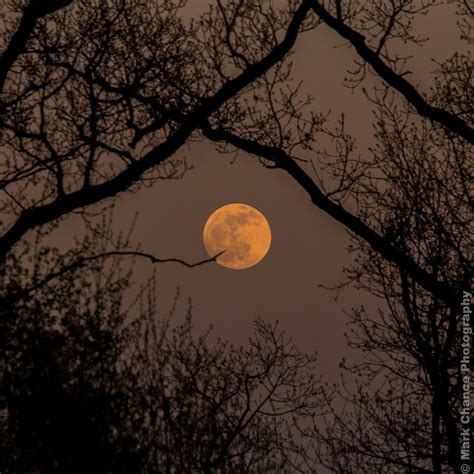 Early Evening Full Moon Scenery Dark Aesthetic Dark Paradise