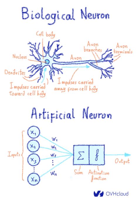 Artificial neural networks, also known as artificial neural nets, neural nets, or ann for short, are a computational tool modeled on the interconnection of the neuron in the nervous systems of the human brain and that of other organisms. What does Training Neural Networks mean? | OVHcloud Blog