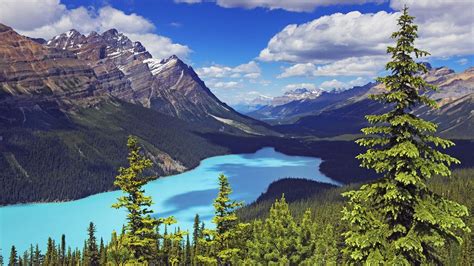 Moraine Lake Banff National Park Wallpapers 62 Wallpapers