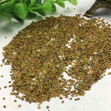 Melilotus Albus Strong Drought Resistance High Purity Natural Sweet