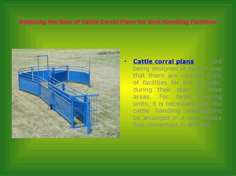 Cattle Working Corrals Designs Wendie Isaacs