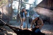 Foto de Robert Redford - El hombre que susurraba a los caballos : Foto ...
