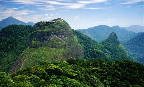 Parque nacional do itatiaia floresta.jpg800 × 600; Parque Nacional do Itatiaia é destaque na Campanha ...