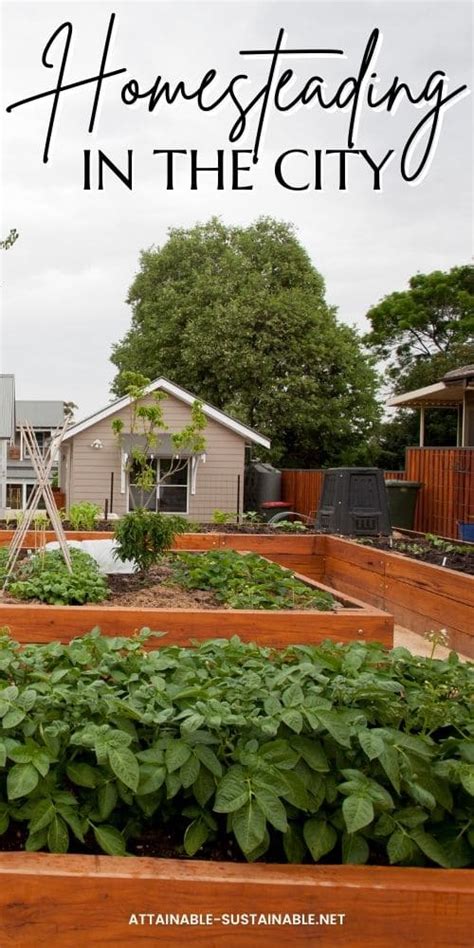Urban Homesteading Skills For Self Sufficient Living In The City