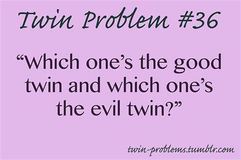 Fraternal Twin Quotes Shortquotescc