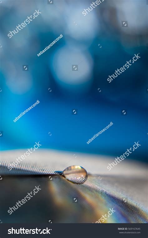 Light Diffraction Showing Rainbow Through Water Stock Photo 569167645