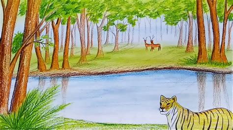 How To Draw Scenery Of Forest Sundarban Step By Step Youtube