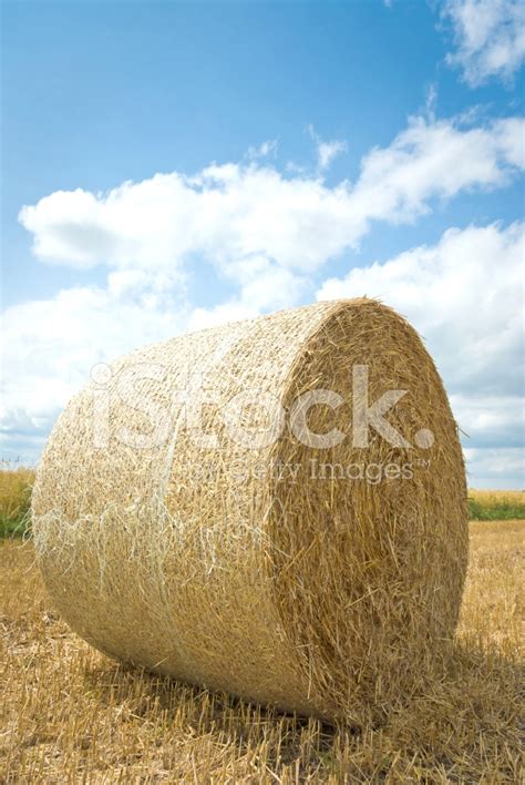 Straw Bales Stock Photo Royalty Free Freeimages