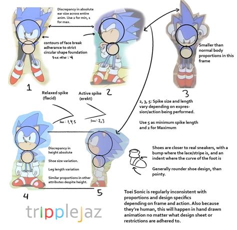 Toei Sonic Reference Sheet How To Draw Sonic Sonic Fan Characters