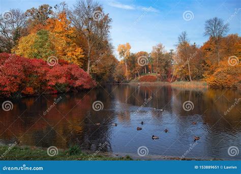 Lake Reflections Of Fall Autumn Colorful Foliage Stock Image Image Of