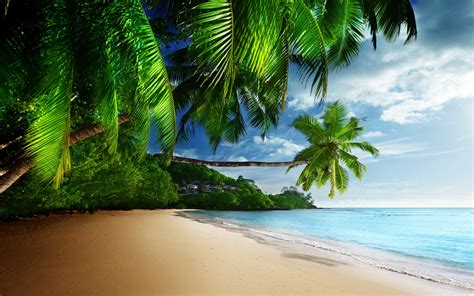 Wallpaper Sunlight Sea Bay Beach Green Coast Palm Trees