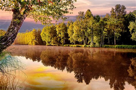 Beautiful Pond landscape during sunrise image - Free stock ...