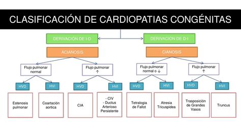 Clasificación De Cardiopatías Congénitas Kenelma Dariana Panta