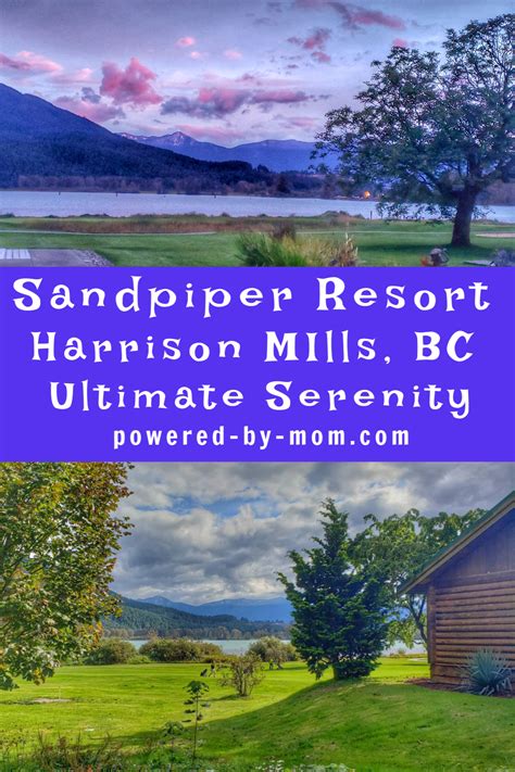 Since 2003, perfect pet resort has built our reputation on one enduring commitment: Why Sandpiper Resort Harrison Mills is Perfect for ...
