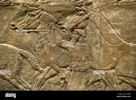 Assyrian Relief Sculpture Panel From The Lion Hunt Showing A Dying Lion