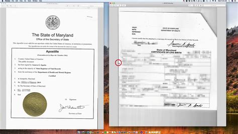 How To Apostille A Maryland Birth Certificate Youtube