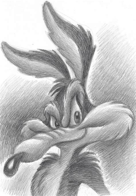 Wile E Coyote Looney Tunes Original Drawing By Joan Catawiki