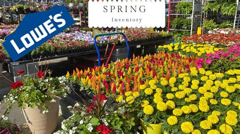 Lowes Garden Center May Plant Inventory Spring 2022 Youtube