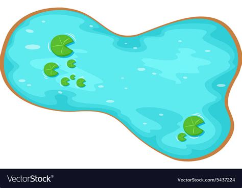 Aerial Of A Pond Royalty Free Vector Image Vectorstock