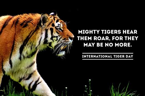 This day is also celebrated as awareness day. International Tiger Day Template | PosterMyWall