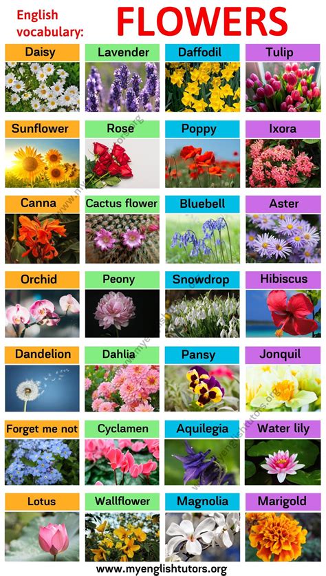 Flowers Are The Most Popular Flower Names In English