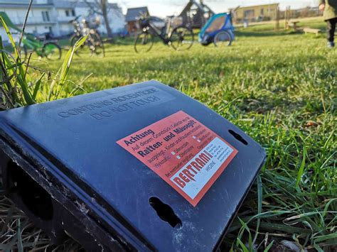 Das moderne rattengift wirkt sehr stark blutverdünnend, so sehr, dass die ratte innerlich verblutet, weil das blut so dünn ist, dass es durch die wände der gefäße sozusagen auslaufen kann. Wann Wirkt Rattengift Fotos | Changs Online