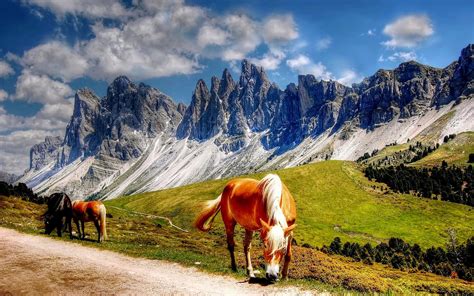 Horses In The Dolomites Mountains Italy South Tyrol Landscape Wallpaper