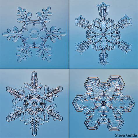 How To Photograph Snowflakes Steve Gettle Nature Photography