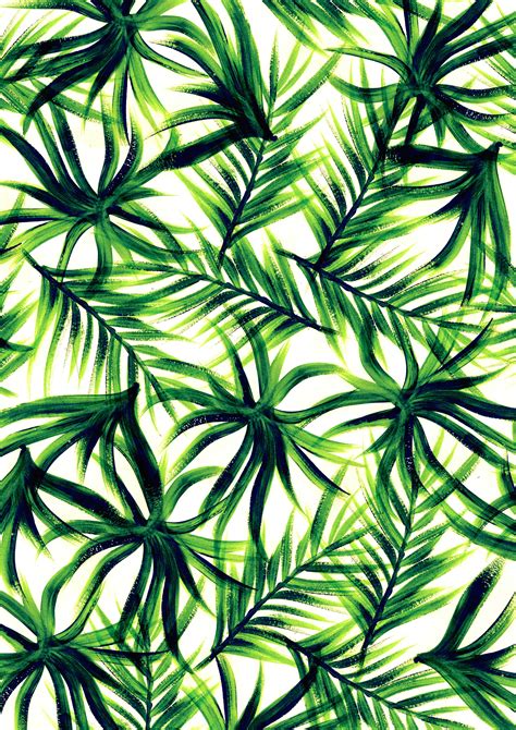 Tropical Leaf Wallpaper Wallpapersafari