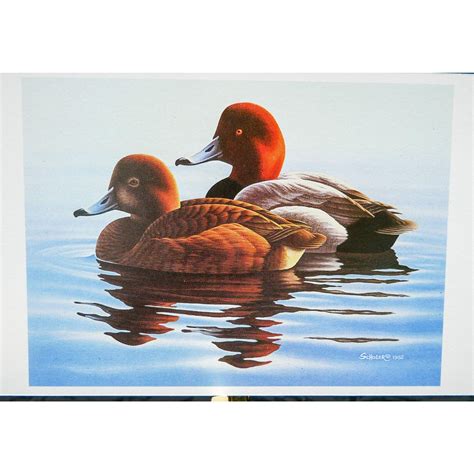 Vintage 1982 Sixth Minnesota Duck Stamp Print Redheads By Etsy