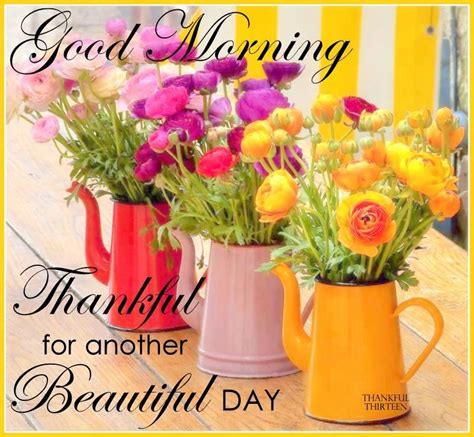 Good Morning Thankful For Another Beautiful Day Pictures Photos And