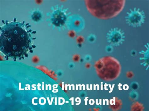 Immunity For Covid Scientists See Encouraging Signs Of Lasting